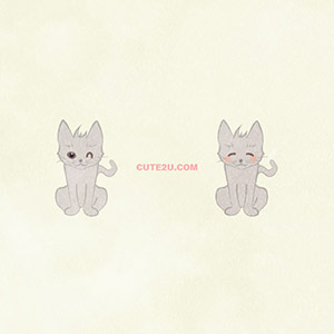 Animal Cat White Cat02 02