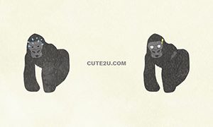 ANIMAL Gorilla 01 04