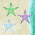 Animals Sea Starfish Shell03 02