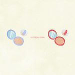 Cosmetics Foundation01 04