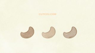 FOODS Nuts Cashew Nuts03