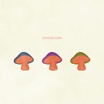 Foods Mushroom02 04