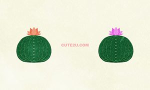 NATURE Cactus02 02