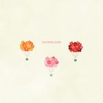 Nature Flower Bouquet02 01