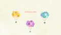 NATURE Flower Bouquet02 02