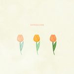 Nature Flower Tulip03 Orange