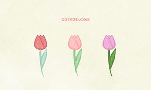 NATURE Flower Tulip03 Pink