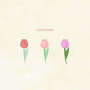 Nature Flower Tulip03 Pink