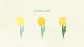 NATURE Flower Tulip03 Yellow