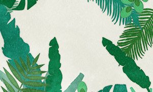 NATURE Leaf Summer Leaf Card 01