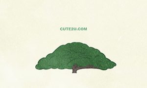 NATURE Tree Albizia Saman01