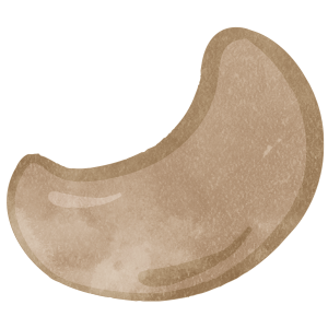 Nuts Cashew Nuts03 01