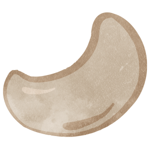 Nuts Cashew Nuts03 02