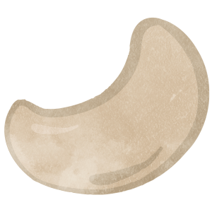Nuts Cashew Nuts03 03