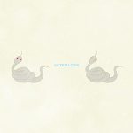 Snake White Snake01 02