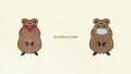 ANIMALS Quokka01 05