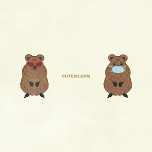 Animals Quokka01 05