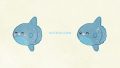ANIMALS Sunfish01 02