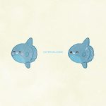 Animals Sunfish01 02