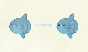 ANIMALS Sunfish01 02