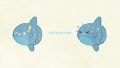 ANIMALS Sunfish01 06