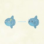 Animals Sunfish01 06