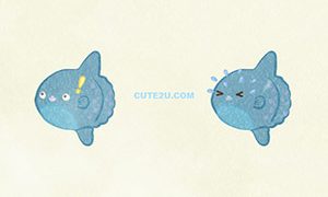 ANIMALS Sunfish01 06