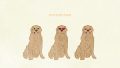 ANIMAL Dog Golden Retriever01 Brown03