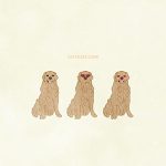 Animal Dog Golden Retriever01 Brown03