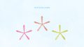 Animals SEA Starfish Shell01 01