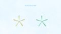 Animals SEA Starfish Shell01 03