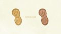 FOODS Nuts Peanuts01