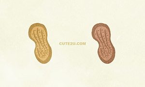 FOODS Nuts Peanuts01
