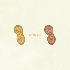 Foods Nuts Peanuts01