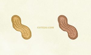 FOODS Nuts Peanuts02