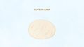 FOOD Cheese Mozzarella Cheese 01