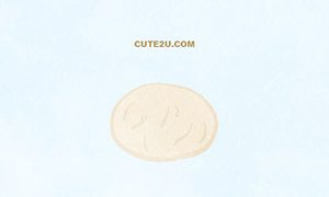 FOOD Cheese Mozzarella Cheese 01