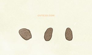 FOOD Vegetables Potato 01 03