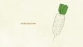 Food Vegetables Daikon 01