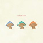 Foods Mushroom02 02