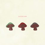 Foods Mushroom02 03