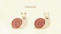 INSECT Snails01 05