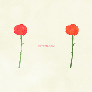 Nature Flower Carnation01 03
