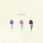 Nature Flower Tulip03 Purple