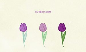 NATURE Flower Tulip03 Purple