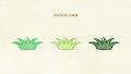 NATURE Leaf Grass04