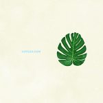 Nature Leaf Monstera Leaves