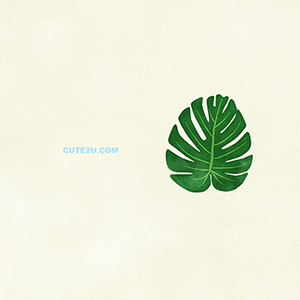 Nature Leaf Monstera Leaves