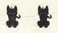 ANIMALS Cat Black Cat02 02