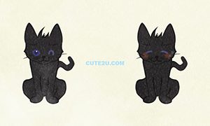 ANIMALS Cat Black Cat02 02
